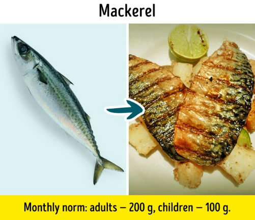 8[-]loại[-]cá[-]bạn[-]nên[-]ăn[-]đúng[-]cách[-]nếu[-]không[-]muốn[-]bị[-]ngộ[-]độc